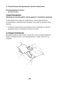 Страница 21