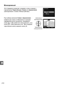 Страница 234