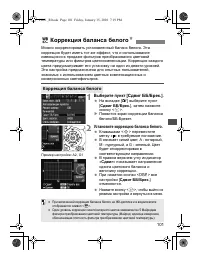 Страница 101
