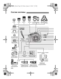 Страница 216