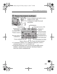 Страница 245