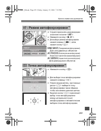 Страница 251