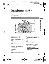 Страница 37