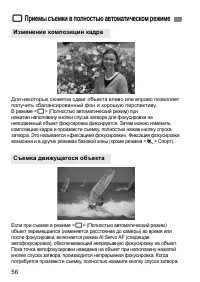 Страница 56