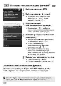 Страница 250