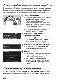 Страница 262