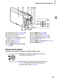 Страница 43