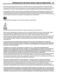 Страница 37