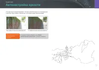 Страница 76