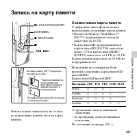 Страница 43