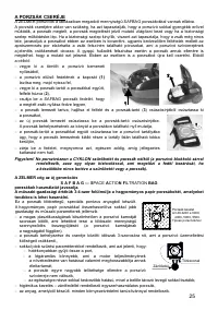 Страница 25