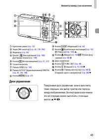 Страница 43