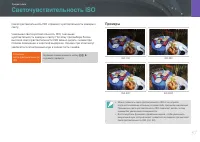 Страница 58