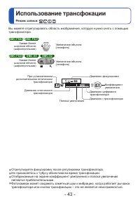 Страница 43