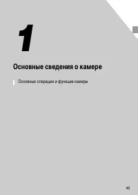 Страница 45