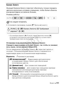 Страница 111