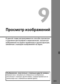 Страница 243