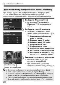 Страница 250