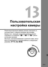 Страница 313