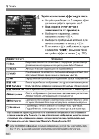 Страница 300