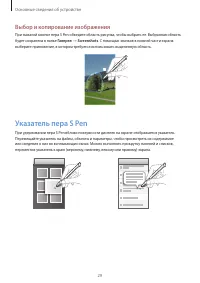 Страница 29