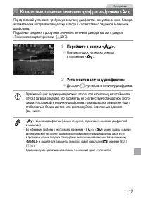 Страница 117