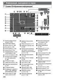 Страница 202
