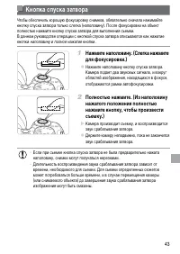 Страница 43