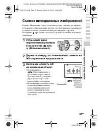 Страница 31