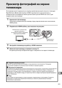 Страница 243