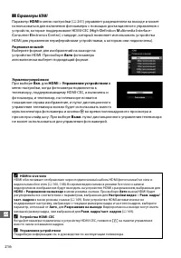Страница 244