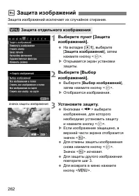 Страница 262