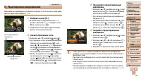 Страница 121