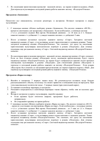 Страница 13