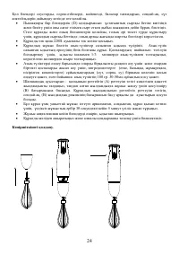 Страница 24