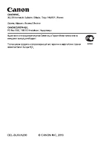 Страница 338
