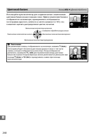 Страница 294