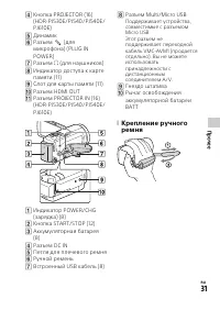 Страница 31