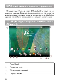 Страница 29