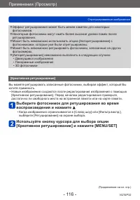 Страница 116