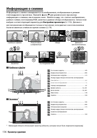 Страница 156