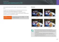 Страница 70