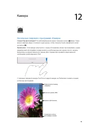 Страница 98