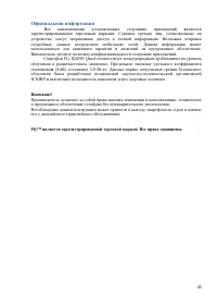 Страница 43