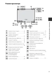 Страница 21