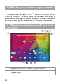 Страница 29