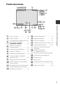 Страница 25
