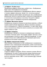 Страница 314
