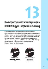 Страница 313