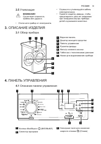 Страница 31